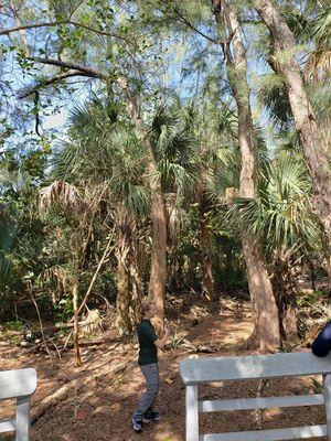 Tour Guide explaining the plants