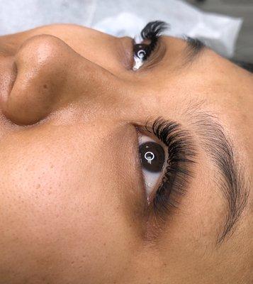 Volume lashes