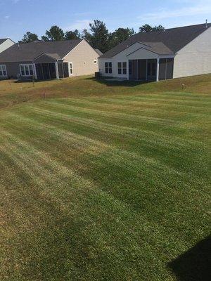 Pro Cuts customer lawn in Berkshire Forest