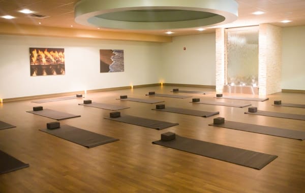 Dedicated Mind/Body Studio offering heated yoga, heated barre, power yoga, meditation, vinyasa yoga, and more!