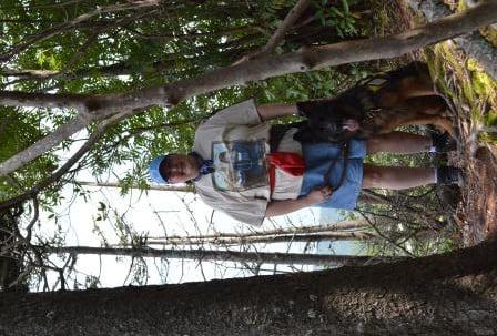 Devil's Courthouse, NC - great to have a mobility dog to help me enjoy life again.