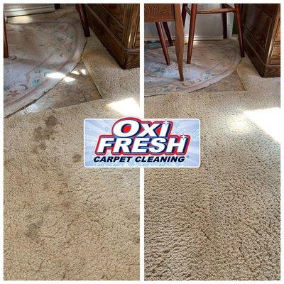 Oxi Fresh Carpet Cleaning