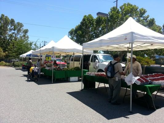 Mayfair Farmers' Market