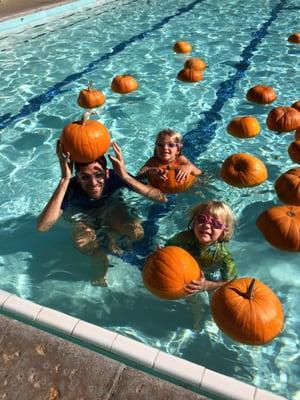 Pool Pumpkin Patch 2013