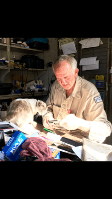 Cats like Doug.