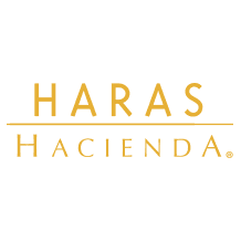 haras hacienda logo