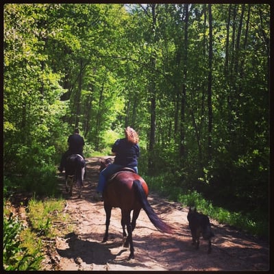 Falcon Ridge Equestrian Center