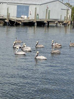 View from the boat