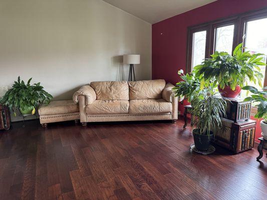 Photo of Post Cleaned Front Room. Floors and window cleaned.