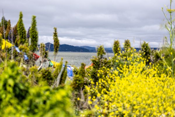 Albany Bulb