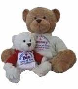 Personalized Teddy Bears