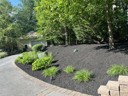 Planting & mulch