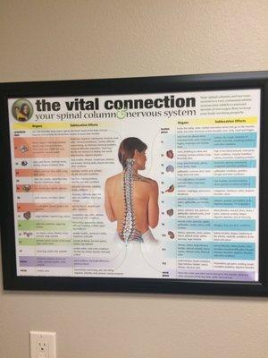 Great information about how your spine affects your health !!!