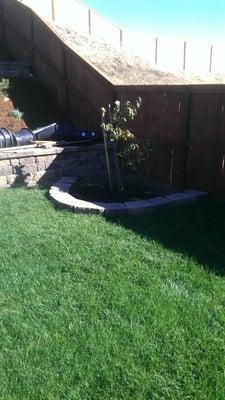 A new retaining wall, new sod, sprinklers and plants.