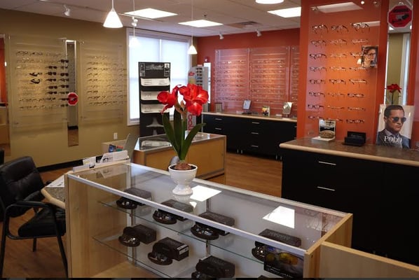 Elegant optical shop with premier and designer eyeglasses, sunglasses and contact lens at very reasonable prices