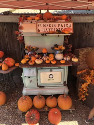 Pumpkin patch and hay rides