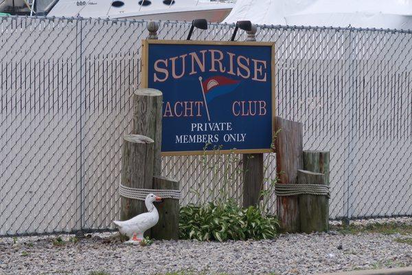 Sunrise Yacht Club