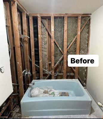 Phase 1 shower remodel