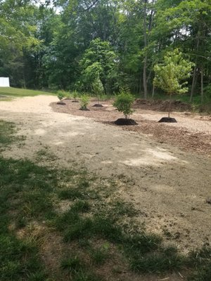 Land reclamation, lawn installation and planting.