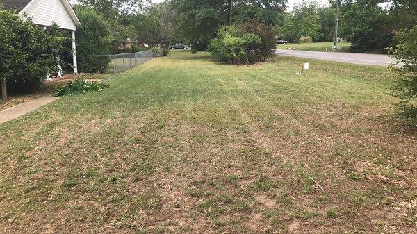 Front yard basic mow