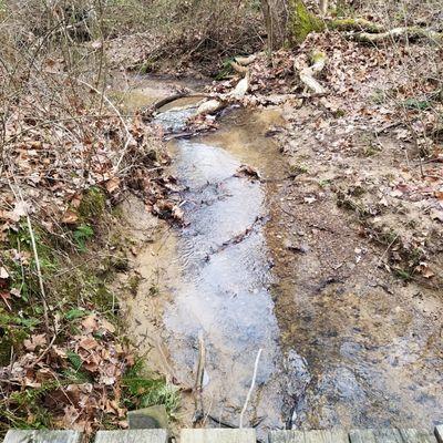 creeks run through the Lenape Trail