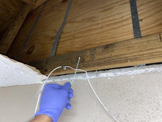 Inspector always wears gloves during testing. Collecting surface sample from contaminated attic.