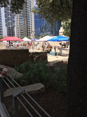 View of Saturday Farmers Market