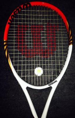 Wilson Freder Pro Racquet