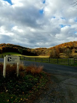 Driveway in the fall