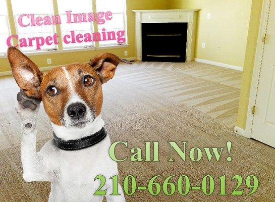 Carpet steam cleaning. Call now 210-660-0129