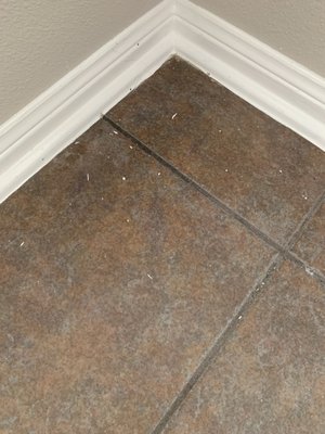 Left paint speckles on my tile floors. My floors were in perfect condition prior