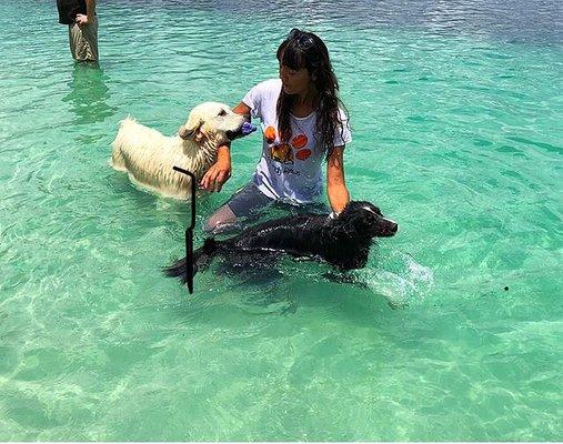 Dog care, lake day