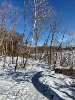 A snow covered trail in the woods