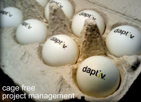 Daptiv PPM