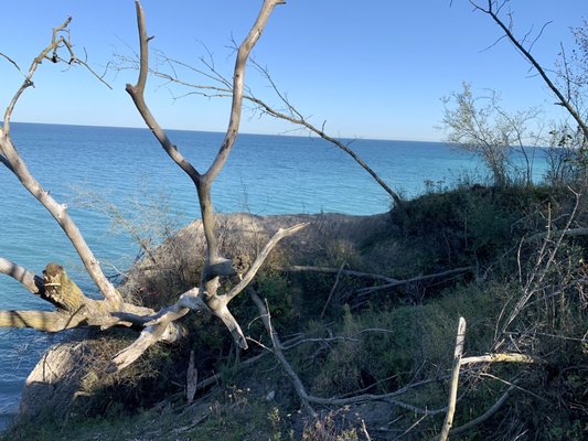 Lake Michigan view