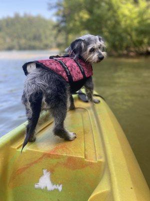 Rollins Lake