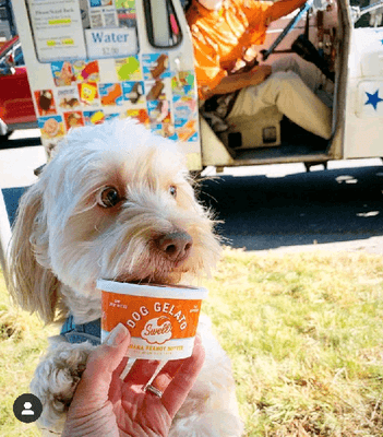 Something for everyone - even Swell Dog Gelato for our canine friends!