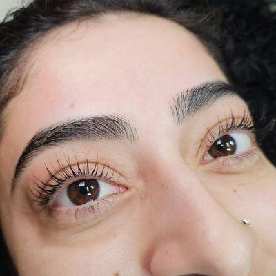 Lash Lift