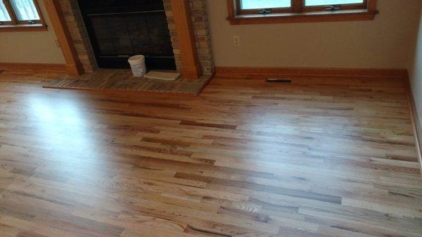 Refinish wood floor