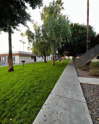 Courtyard and near pool