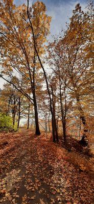 Along with the view the TREEs are gorgeous especially in Autumn of course!!