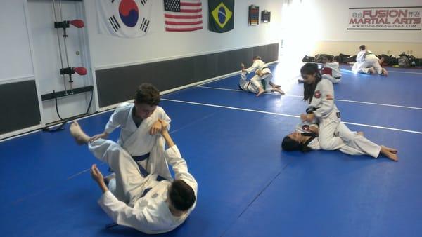 Fusion Martial Arts, Sanford FL, Taekwondo, Brazilian Jiu Jitsu, Lake Mary, Heathrow, Deltona, Longwood, FL After School