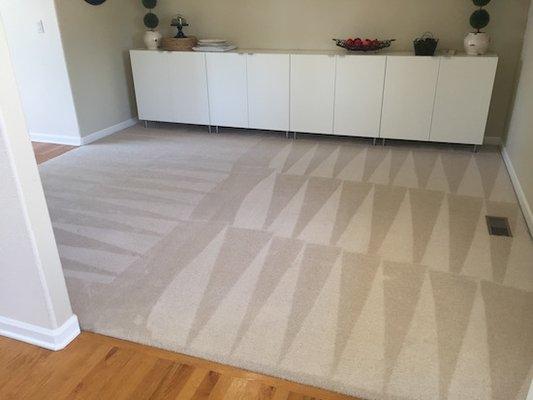 Professional carpet cleaning services for Bellingham and Whatcom County.