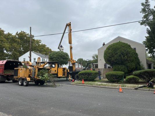 Happy Tree Service