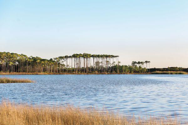 Iconic view of Grayton State Park over Western Lake on 30A