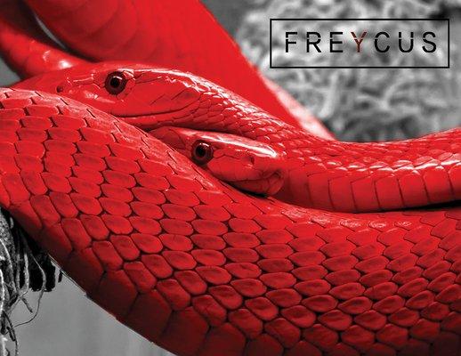 Key Art - FREYCUS (band)