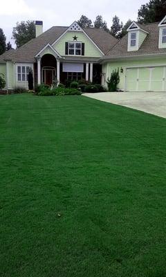 Green Earth Tree And Turf Care