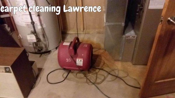 Lawrence Carpet Cleaning Dryer Process