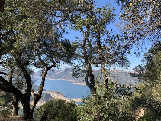 Outside view from trail