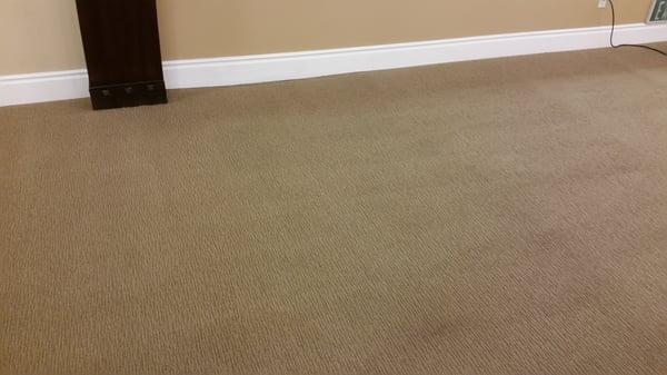 Carpet after extracted,desinfectected and deodorant.